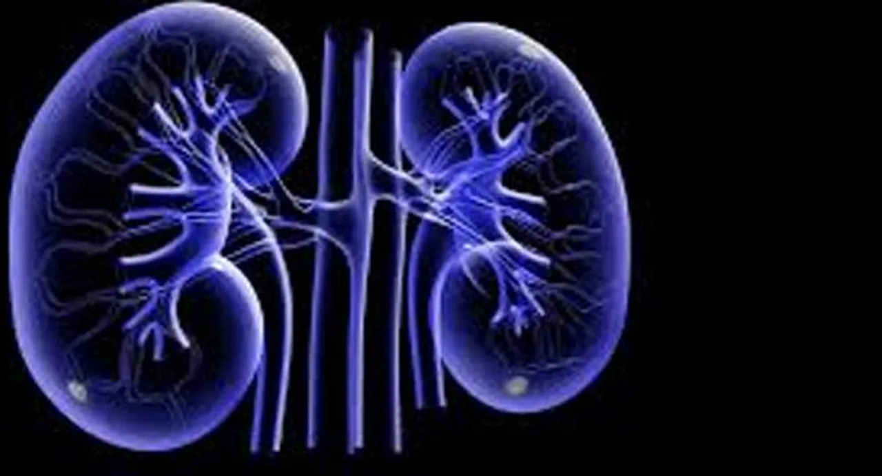  Heartburn pills may up chronic kidney disease risk: study