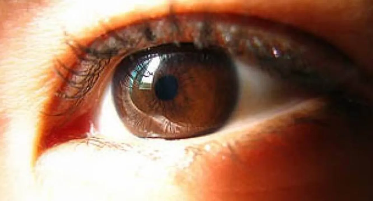 Three new genes linked to glaucoma identified