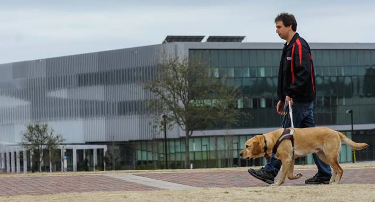 Domestication may have damaged DNA of dogs: study