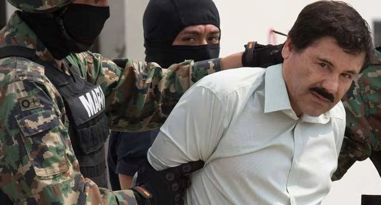 Mexico seizes exotic birds linked to drug lord