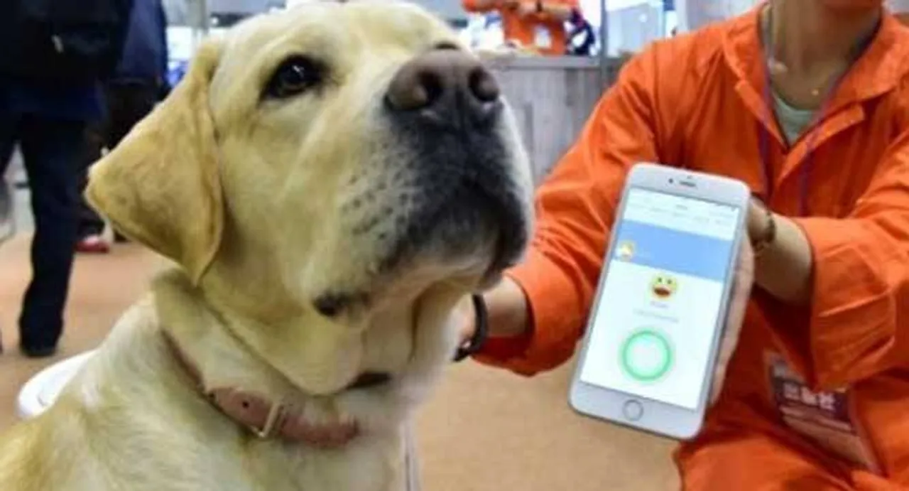 Now, know your pet's mood with this new app