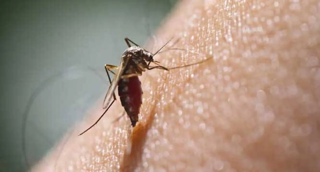 Haiti hit with Zika virus outbreak: Official