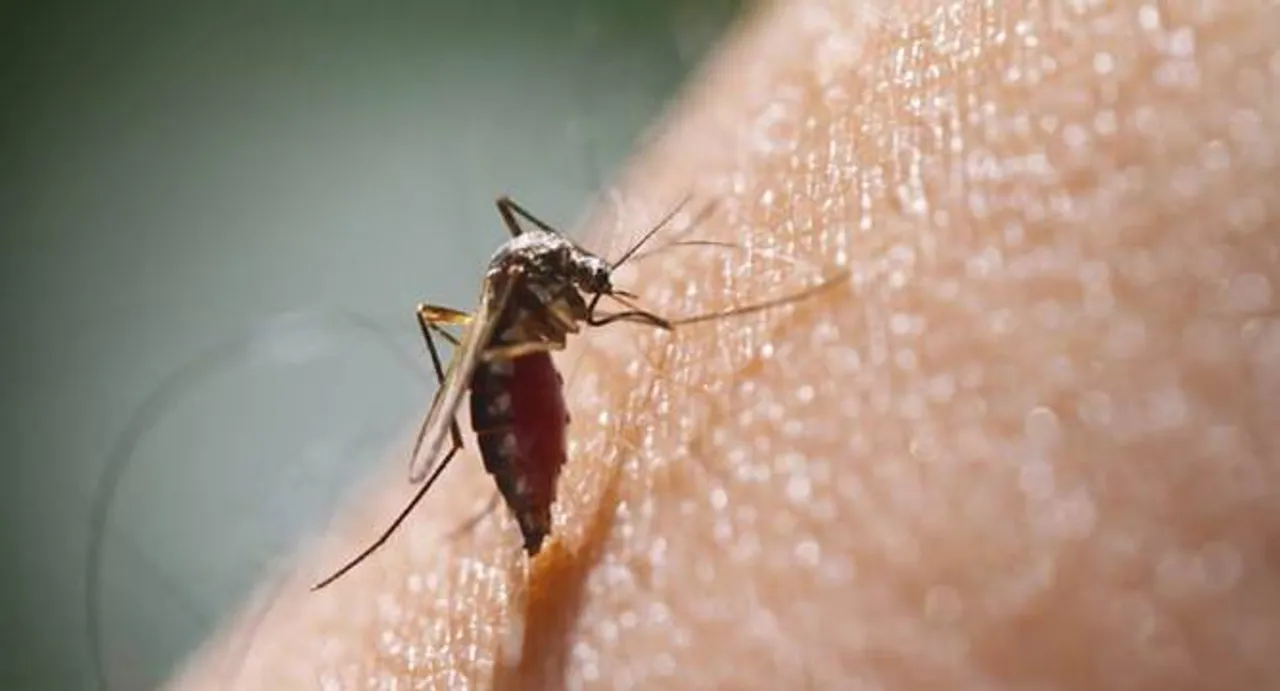 Hawaii reports first US case of Zika-linked brain damage 