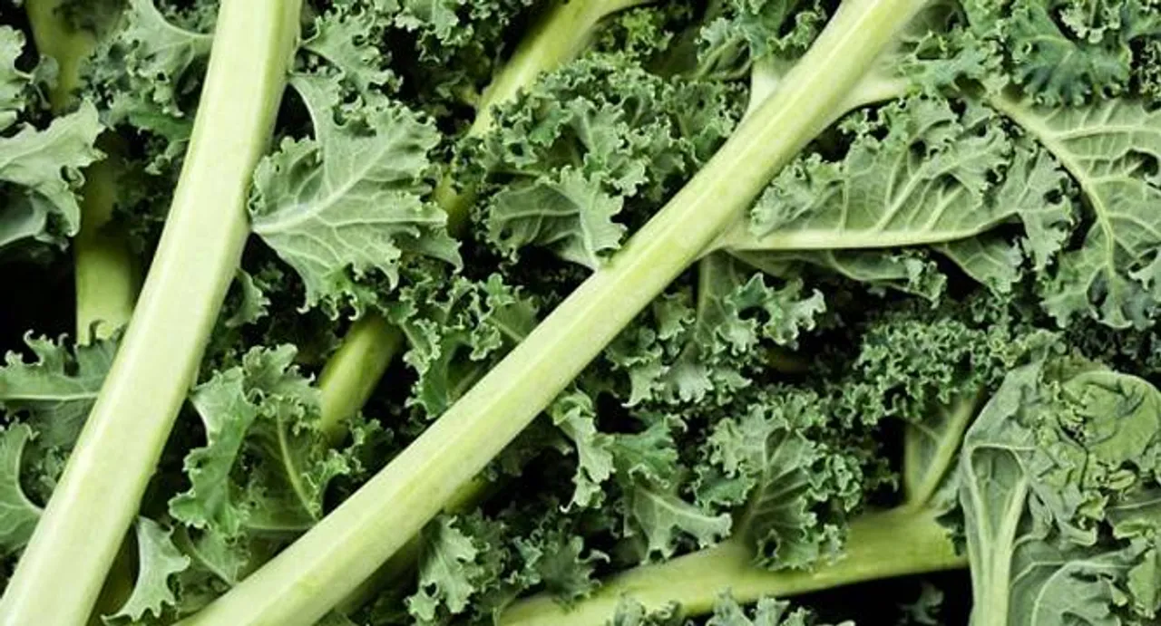 Eating greens may help prevent blindness: study