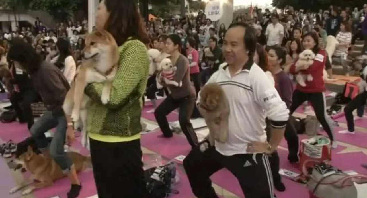 Dog yoga class sets new world record in Hong Kong