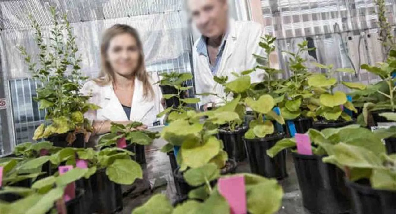 Can space gardening help astronauts reduce stress?