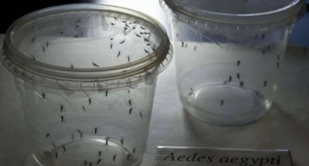 Birth defects in Latin America spark Zika virus panic