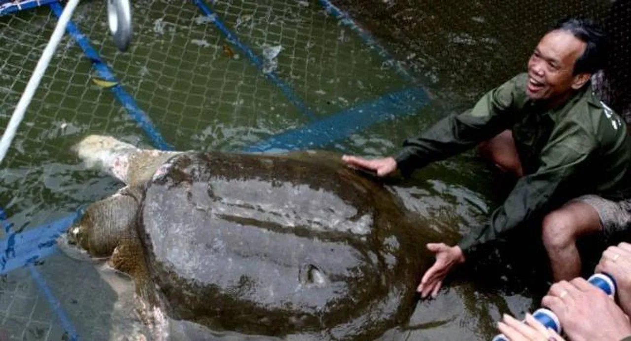 Vietnam's beloved sacred turtle dies: State media