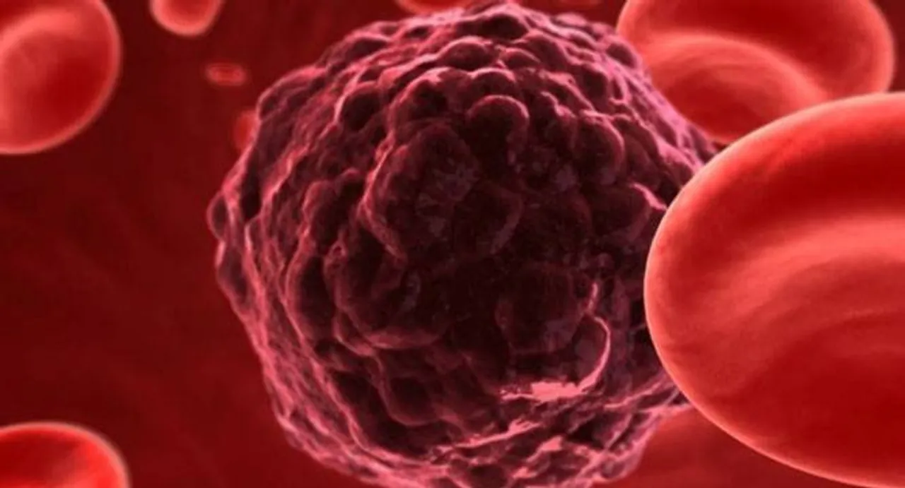 Key defence protein may cause cancer: Study