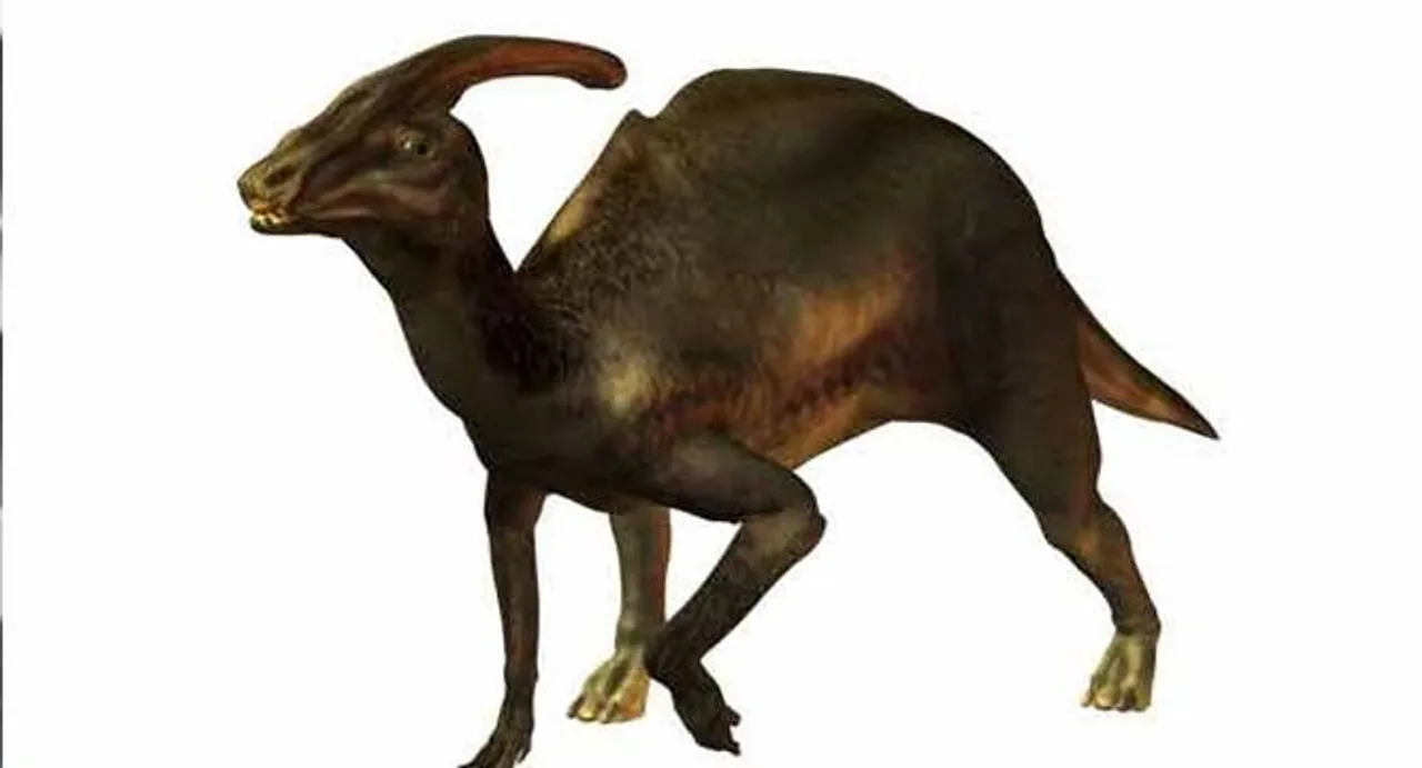 New 83-million-year-old, rare dinosaur species identified