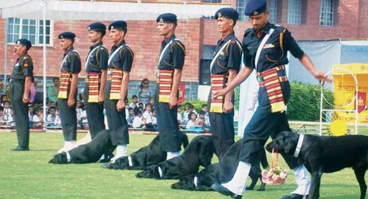 Do you know: The grand Republic Day Parade takes 9 months to prepare, other facts!