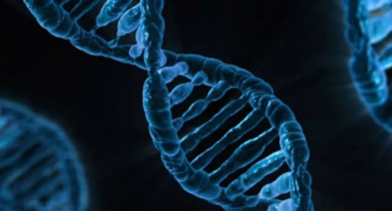 Lack of a gene copy can trigger 25-point drop in IQ levels 