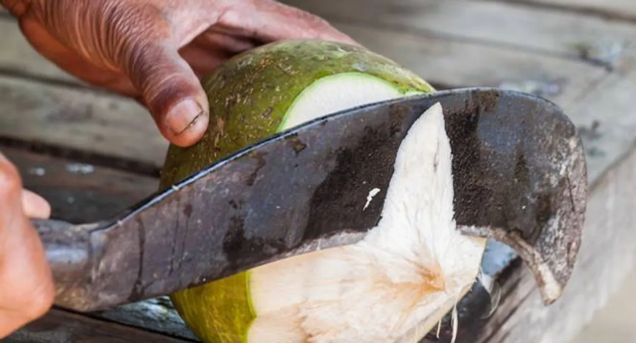 Coconut a palm or a tree? Debate rages on