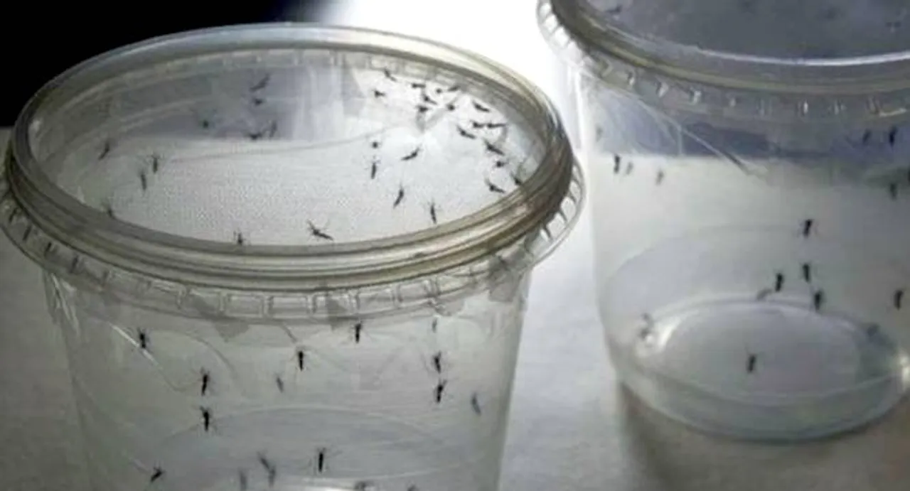 Centre forms technical group to monitor Zika virus situation