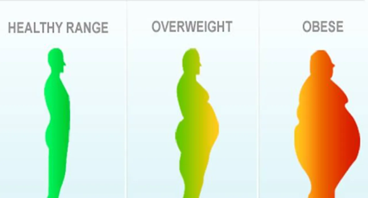 BMI not a correct measure of health: study