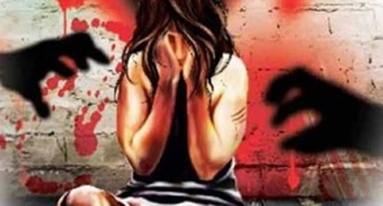 Software professional rapes NRI techie; arrested