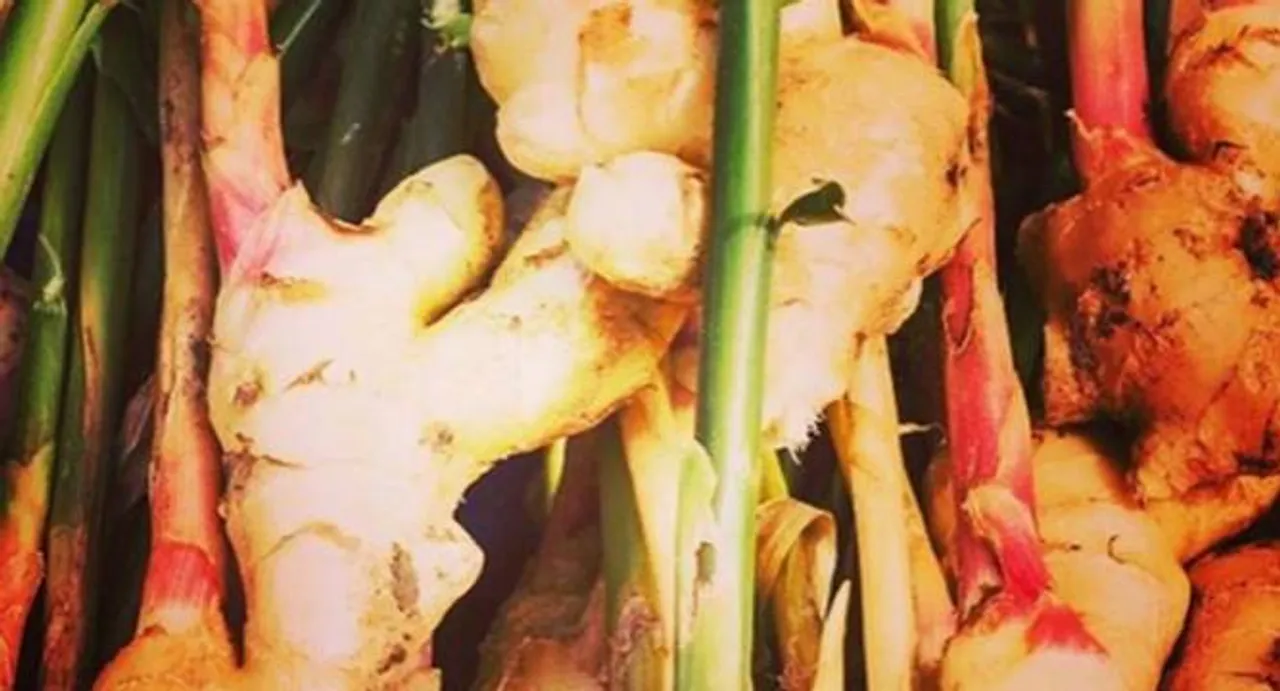 Many health benefits of Ginger that make it a super spice