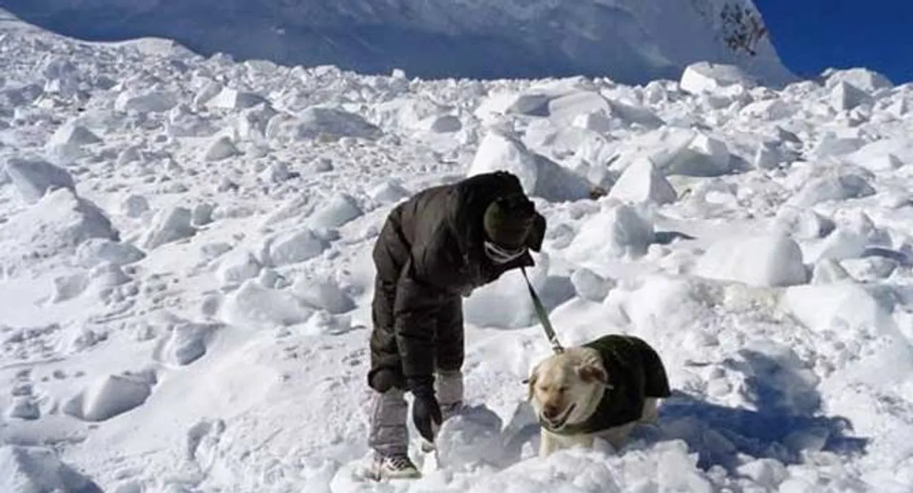 Siachen miracle: How Lance Naik Koppad was rescued?