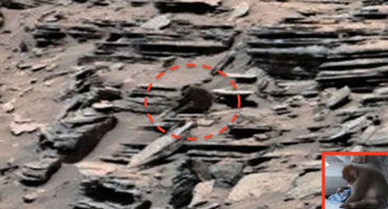 Curiosity Rover makes a new discovery on Mars- a Monkey this time!