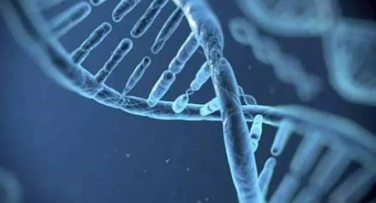 Genes may affect stress fracture injuries: study