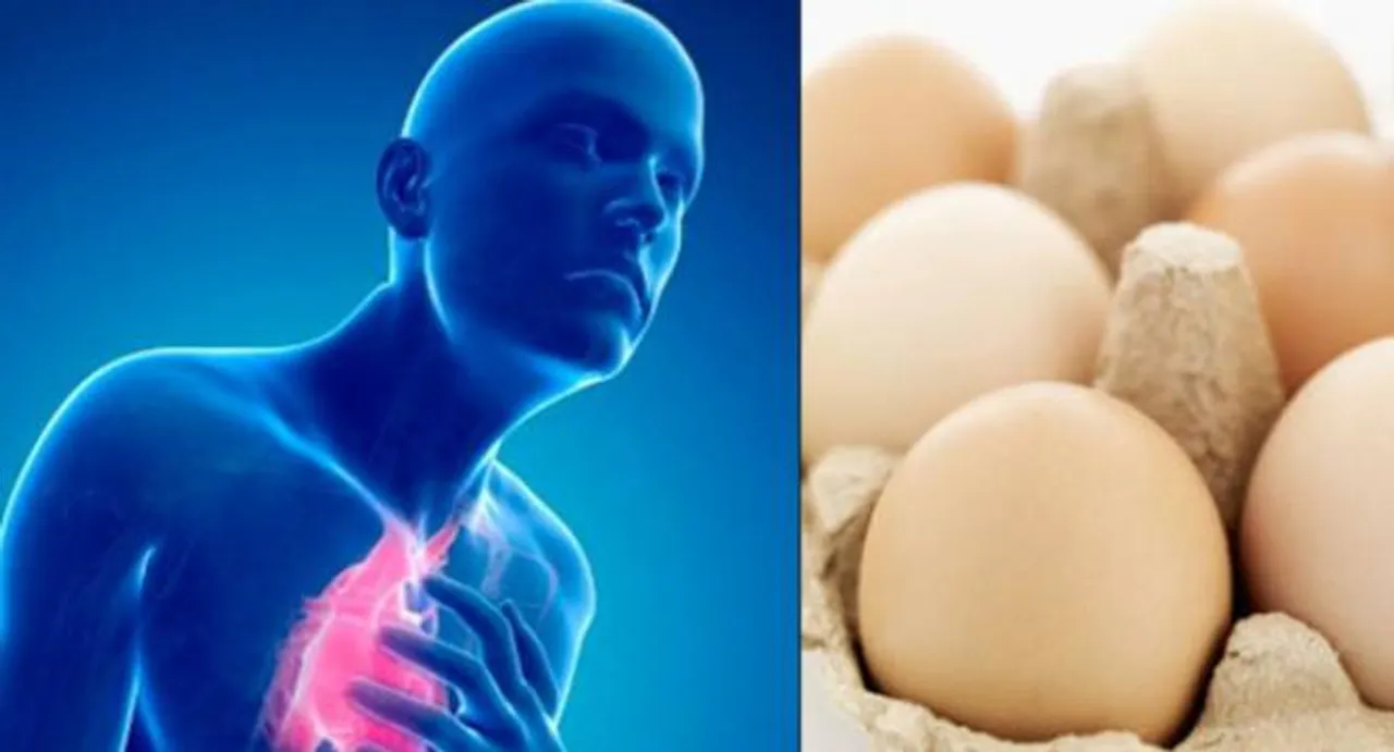 An egg a day doesnâ€™t increase heart attack risk: study