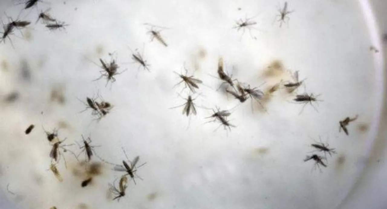 China's first Zika patient discharged from hospital