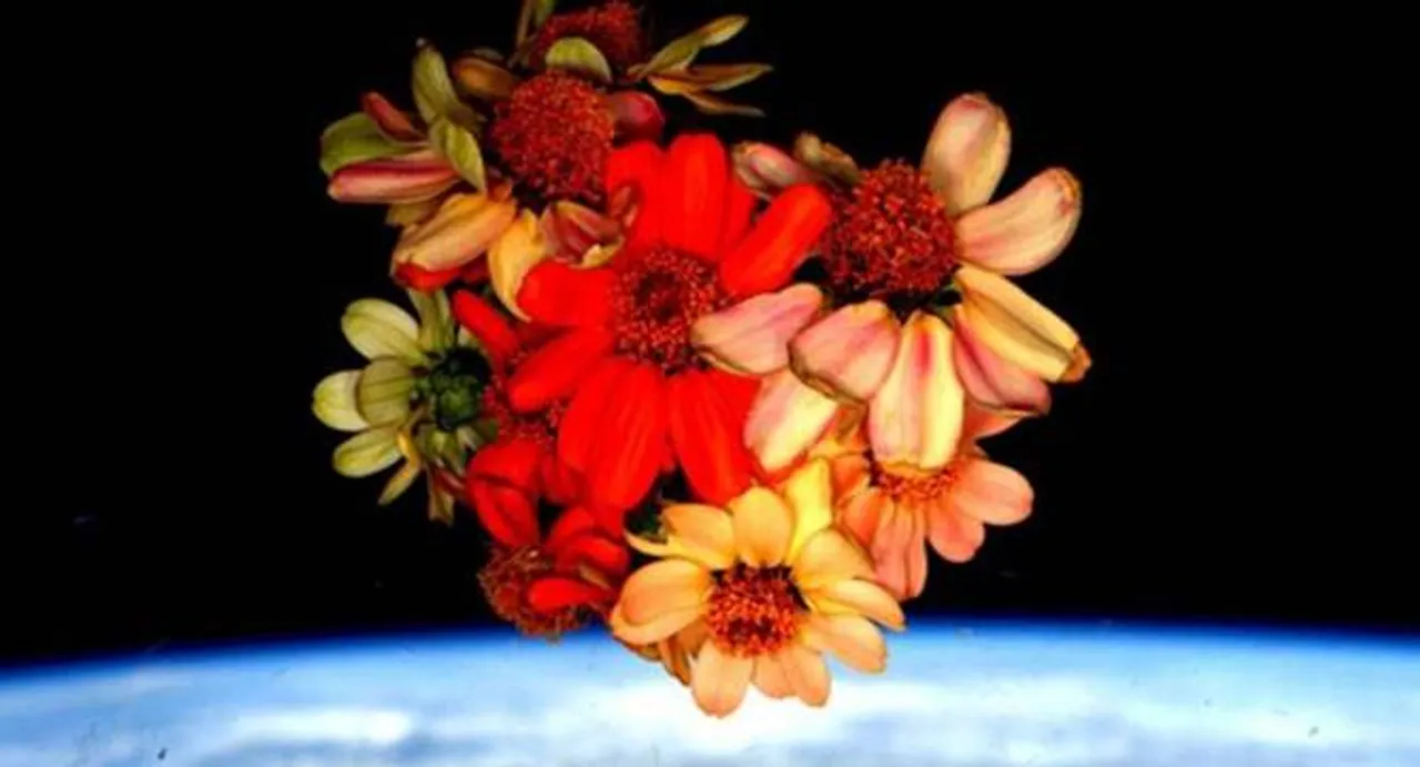 Astronaut Scott Kelly shares a picture of space flowers on Valentine's Day