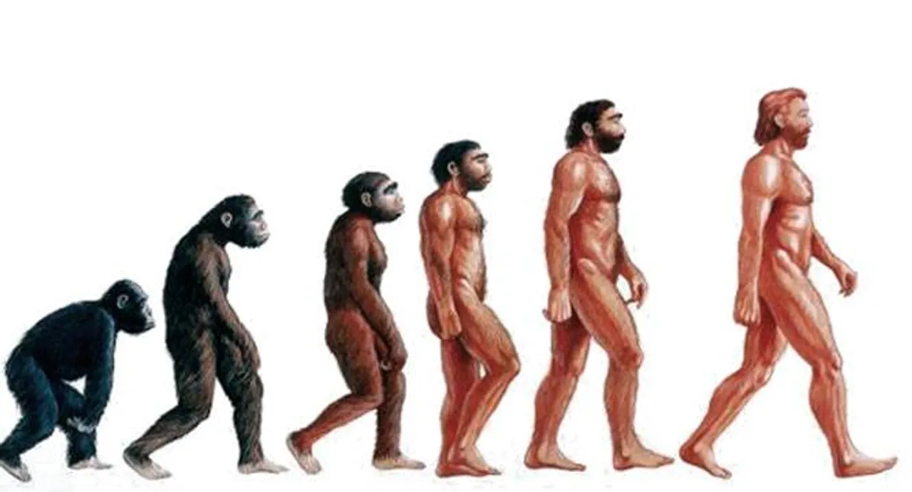 Humans split from primates much earlier than thought: study