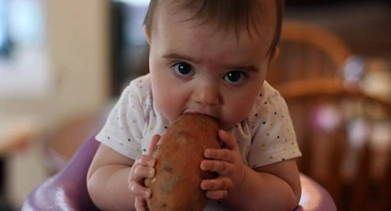 Potatoes may be good source of potassium, fibre for kids