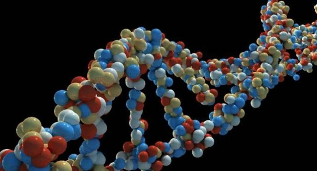 Scientists decode how genes may influence ageing