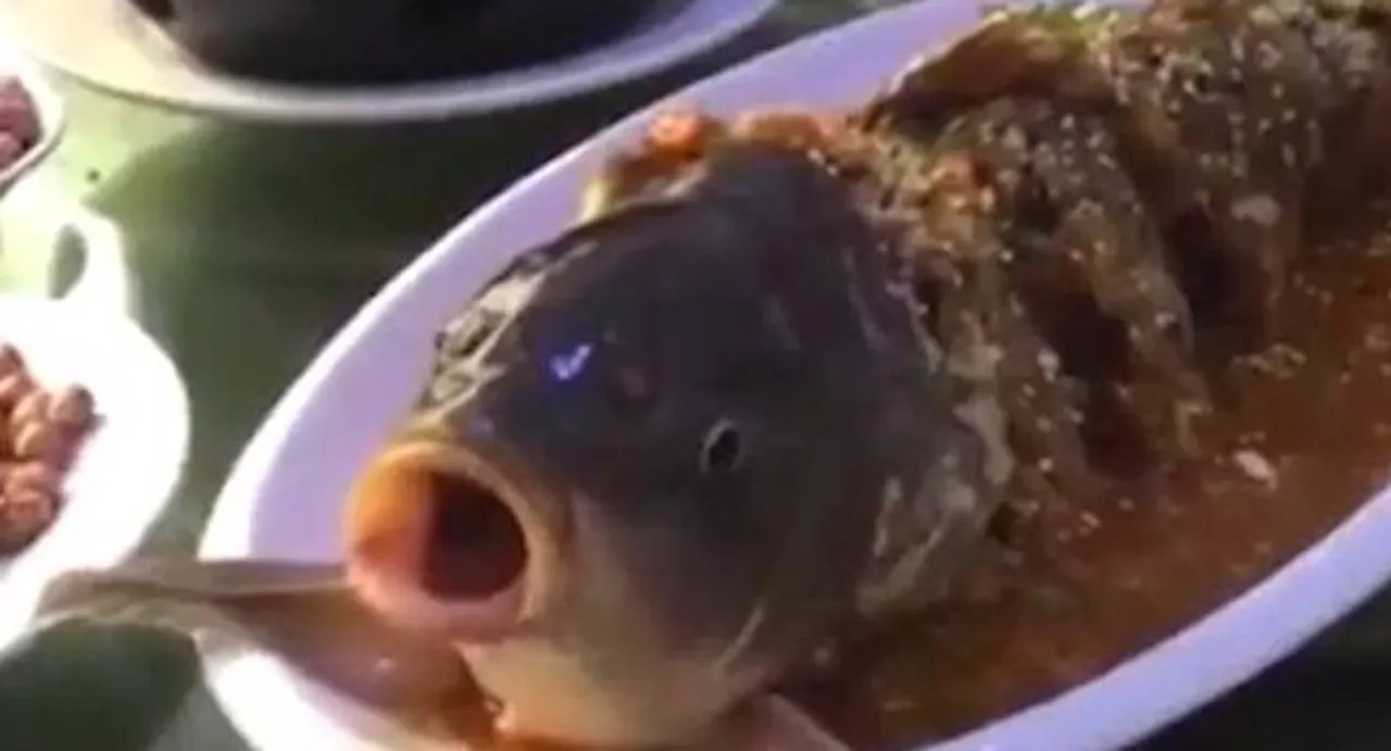 Shocking: Cooked fish comes back to life after diner pours alcohol shot