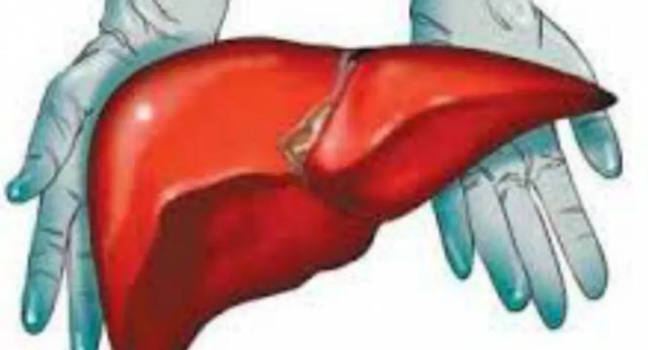 Too much salt may cause liver damage: study