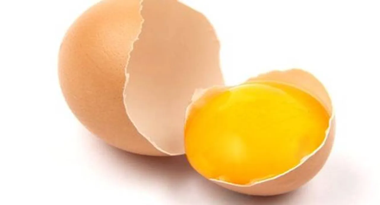 Egg yolks are actually good for you!