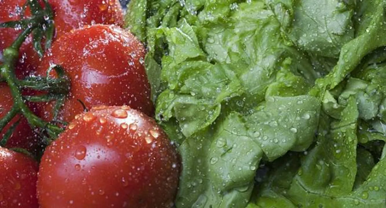Donâ€™t just drink water, eat it- the best way to rehydrate yourself