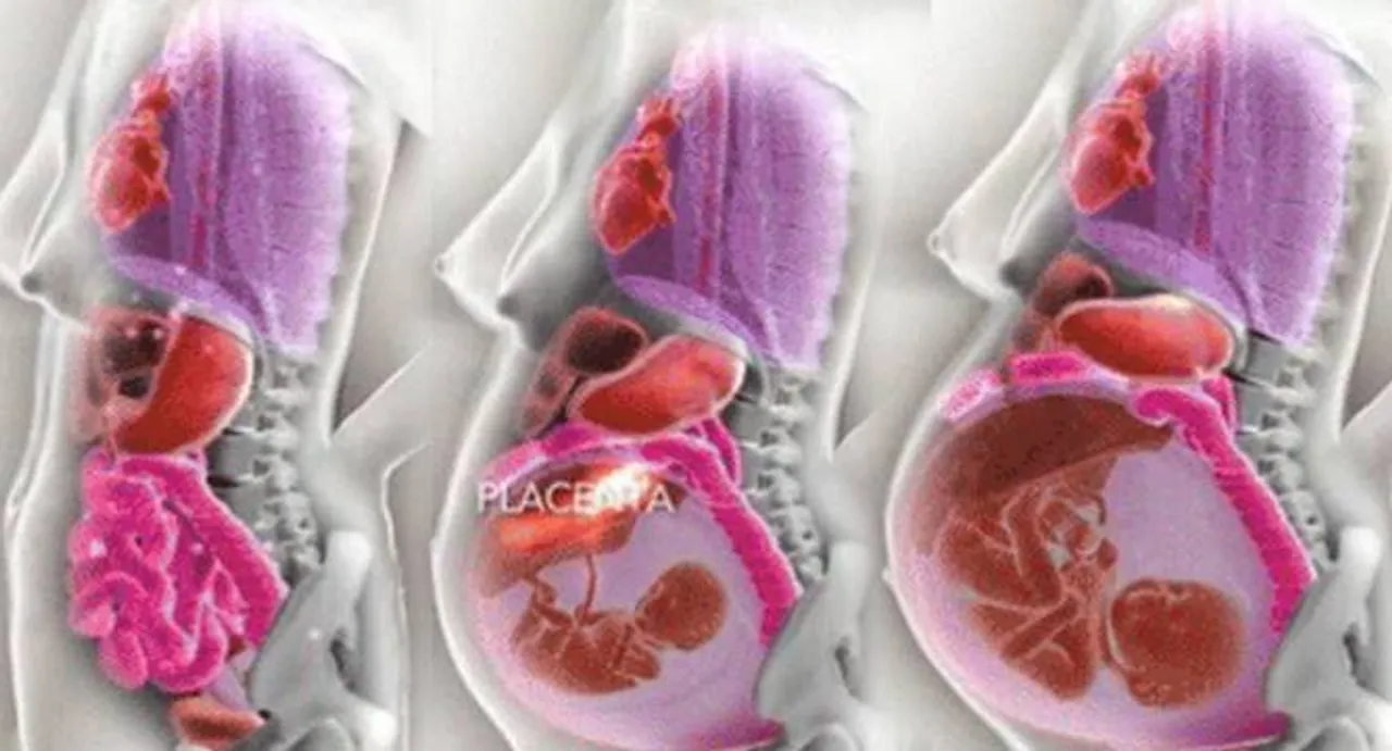 WATCH how your body changes during 9 months of pregnancy!