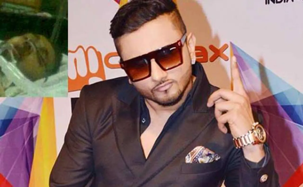 I don't know who is Raftar: Honey Singh