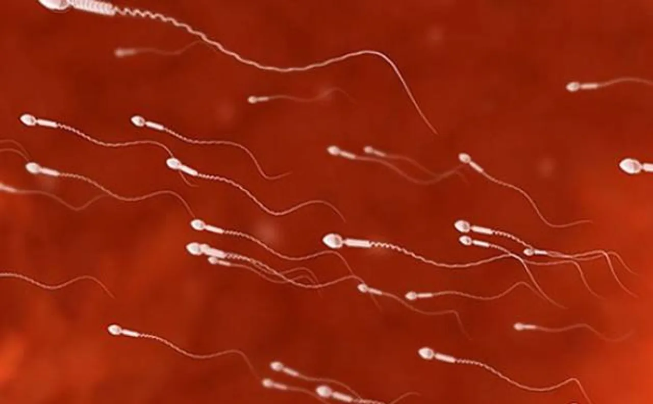 Unisex contraceptives one step closer to reality