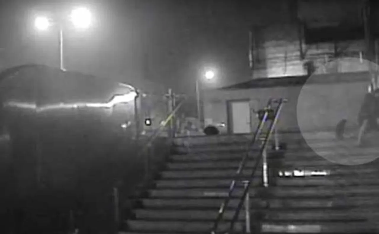 Caught on CCTV: Man stabs to death 3 dogs, 1 puppy outside metro station
