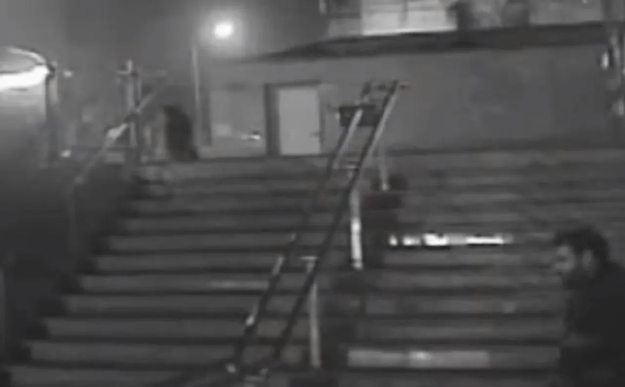 Stray dog stabbing: Delhi police access more footage; intesifies search