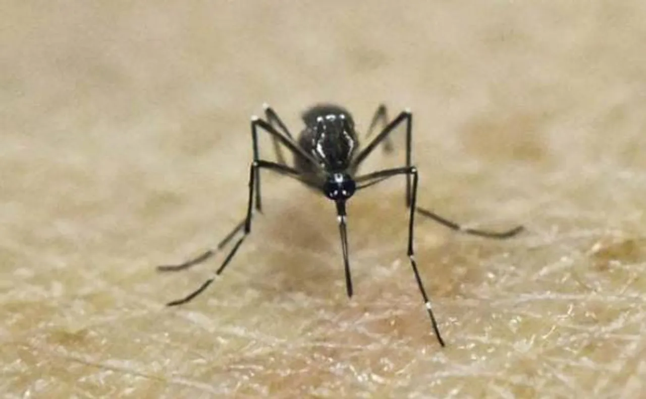 Bangladesh confirms first case of Zika virus