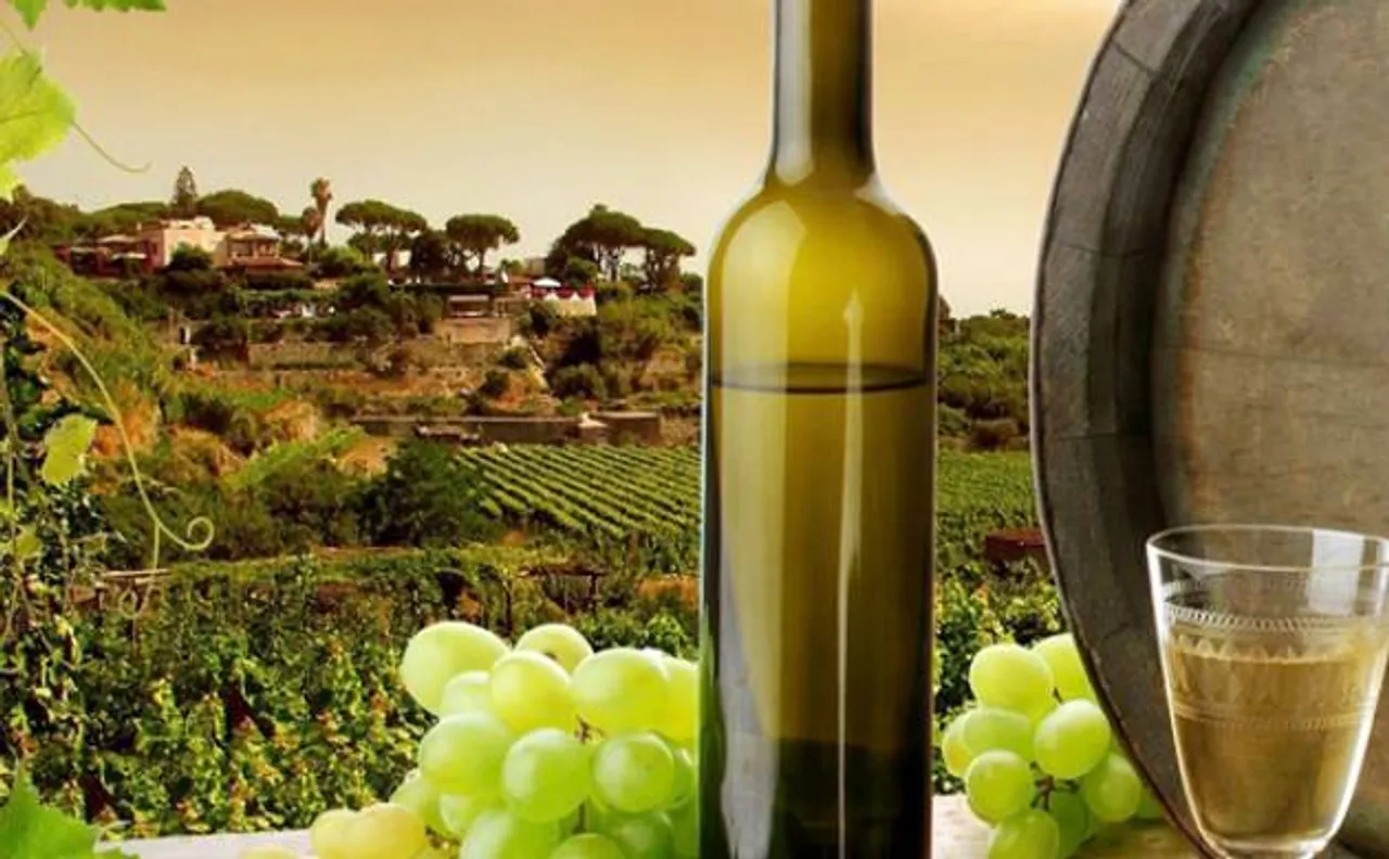 Global warming may affect world's finest wines