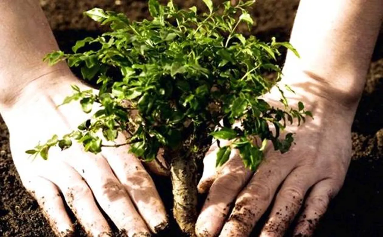 World Forest Day: Plant 10-15 trees during your lifetime to create 'Oxygen bank', says Prakash Javadekar