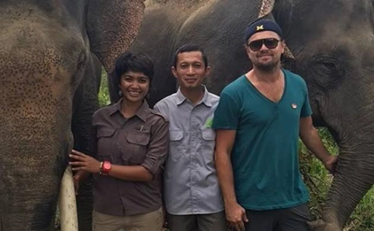 Leonardo DiCaprio fights for Indonesian elephants' future