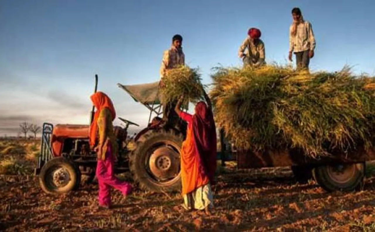 Agriculture growth may jump to 6 pc in FY17, says NITI Aayog