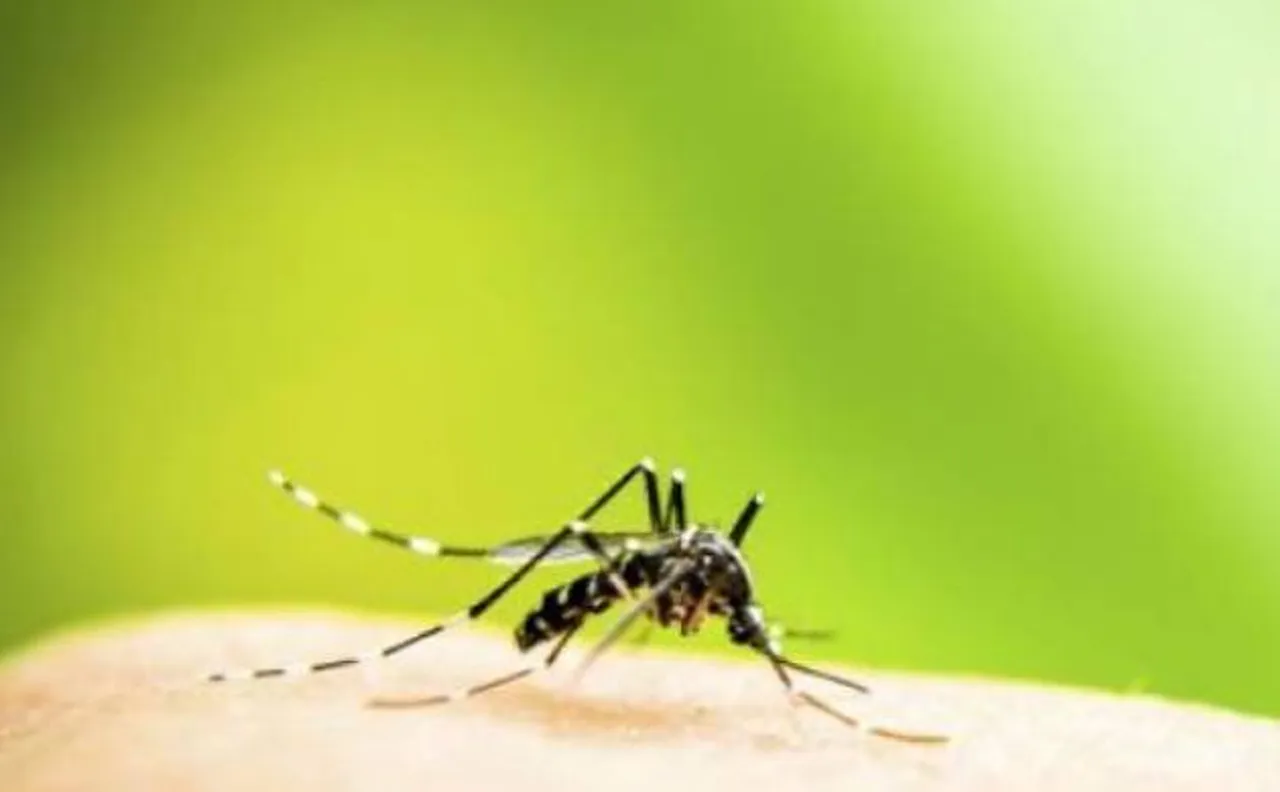Philippines launches world's first mass dengue vaccination