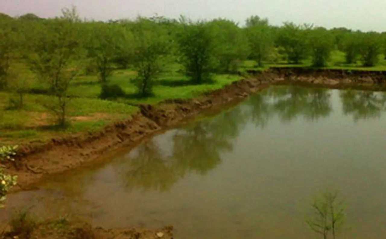 Govt to carry out pilot study on green effects of MGNREGA 