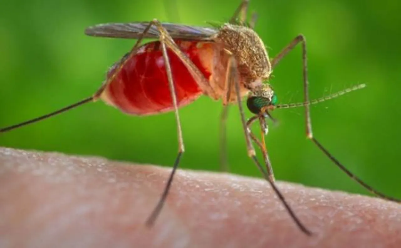 Did you know Zika virus is linked to other brain disorders?