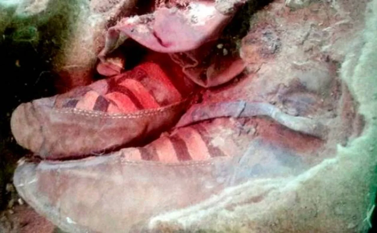1500-year-old mummy wearing Adidas sneakers goes viral