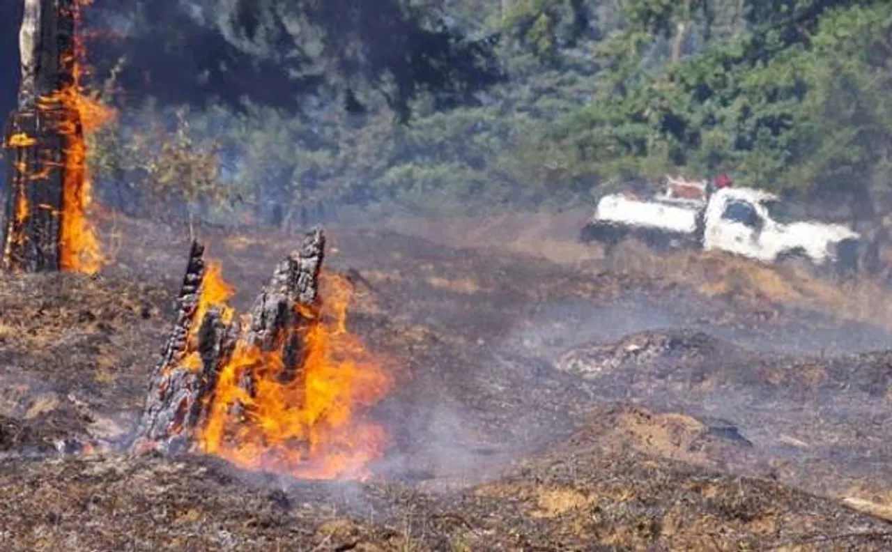 Fire at Corbett National Park, attempts on to douse blaze