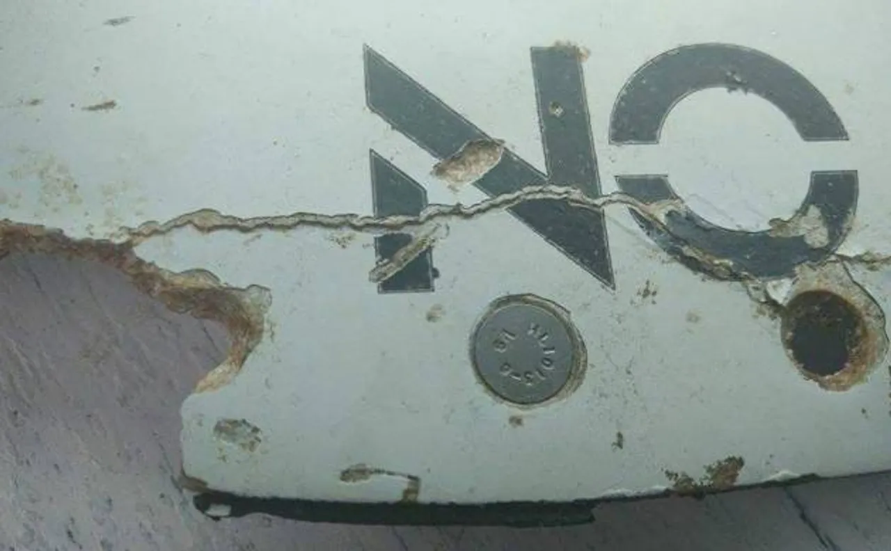 Mozambique debris almost certainly from MH370: Australia